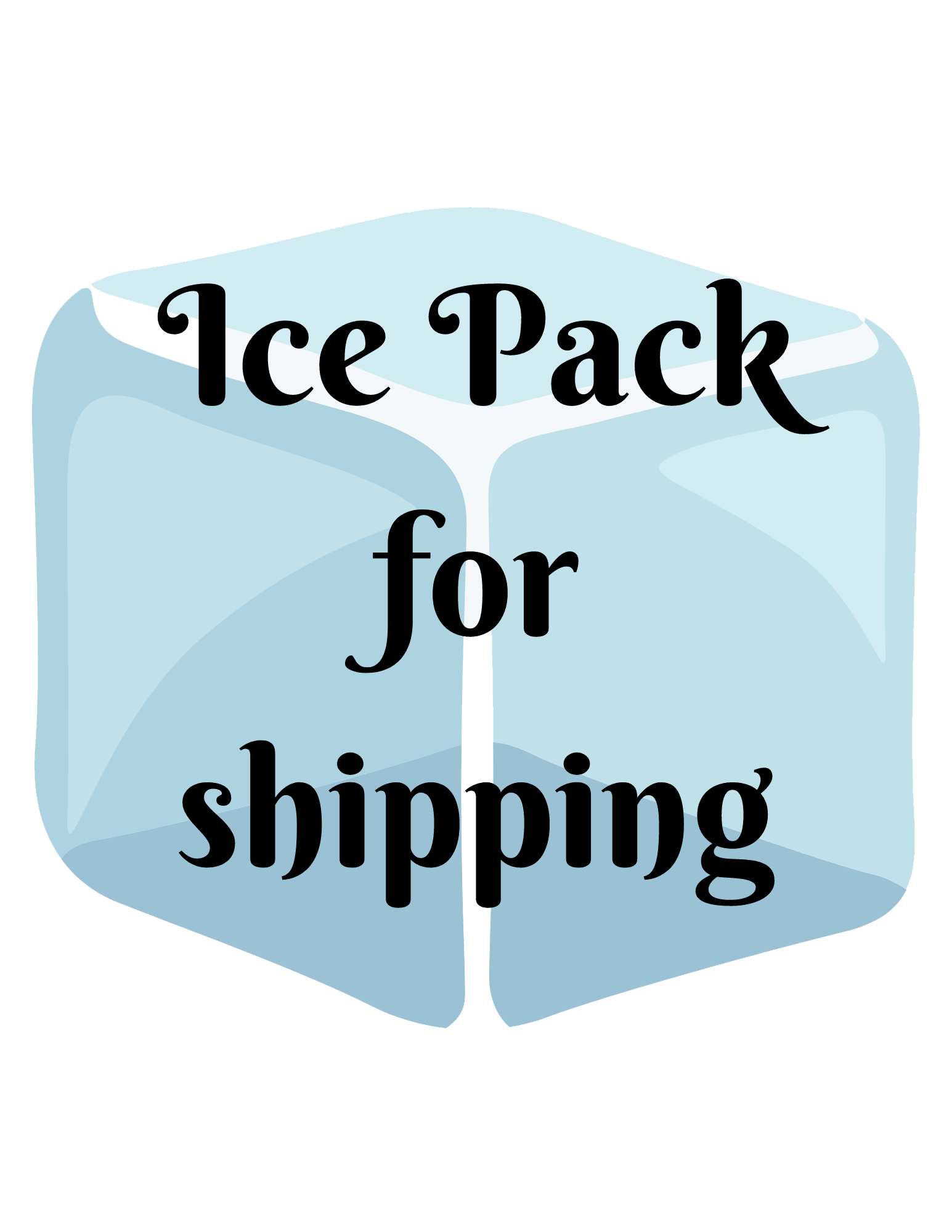 Product Image for ICE PACK for shipping